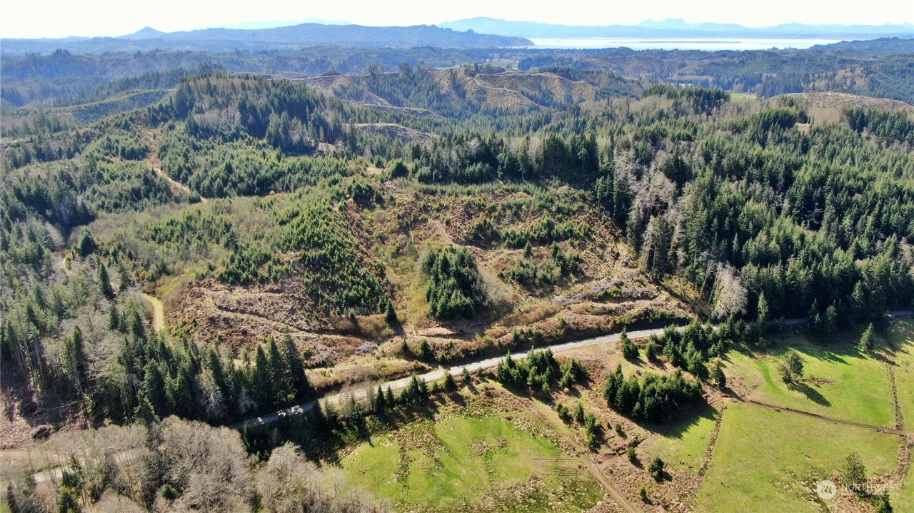 0 M.P. 1.4 Salmon Creek Rd, Naselle, WA 98638 MLS 2052472 Redfin