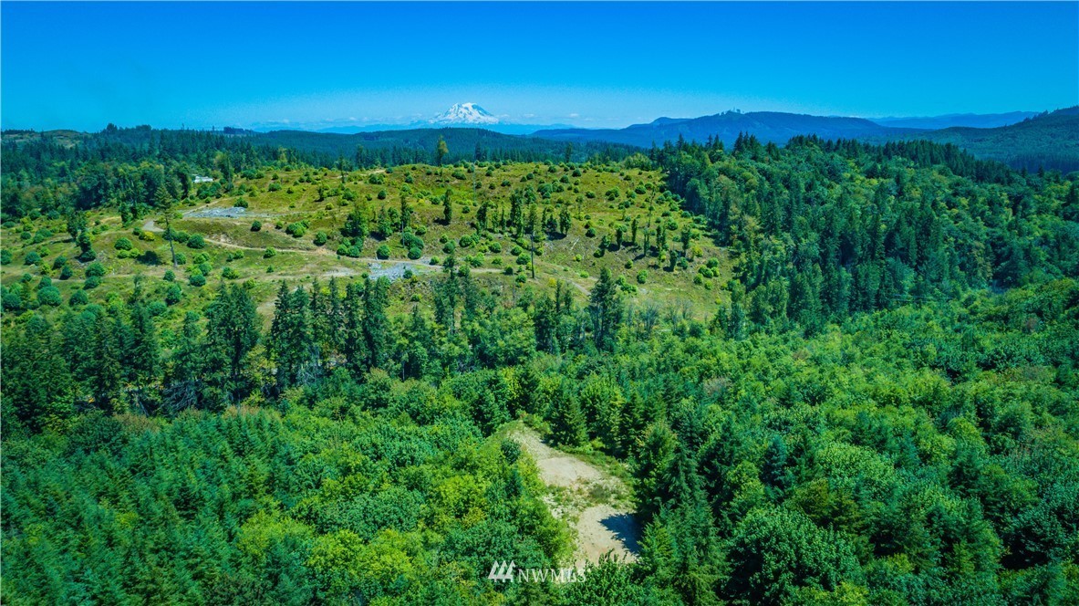 2405 150th Ln SE, Tenino, WA 98589 | Redfin