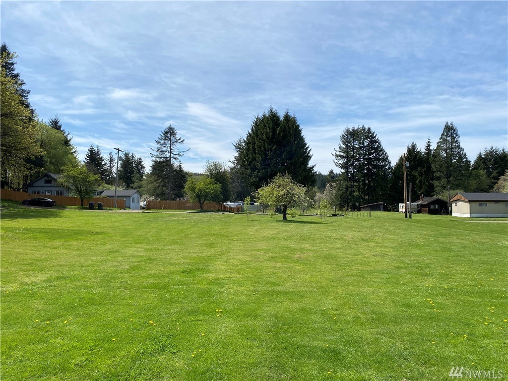 0 0 Washington St, Pe Ell, WA 98572 | MLS# 1766621 | Redfin