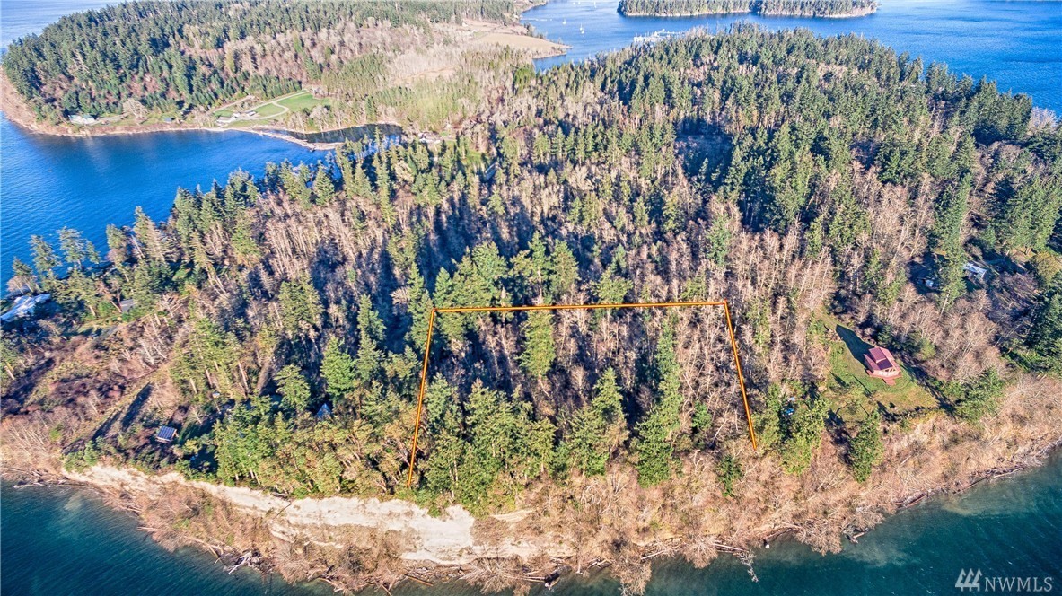 12006 144th St, Anderson Island, WA 98303 MLS 1048652 Redfin