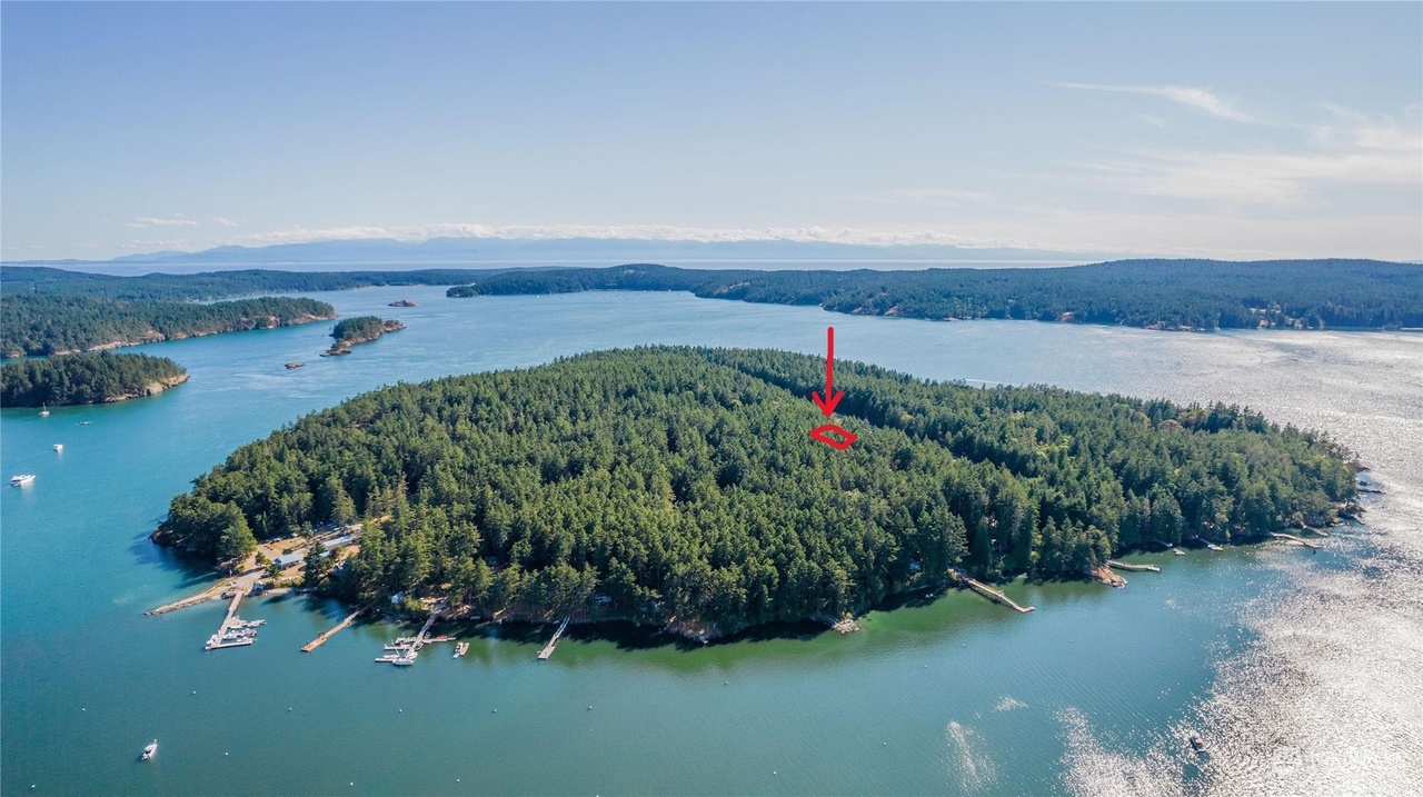 Center Island Wa Real Estate