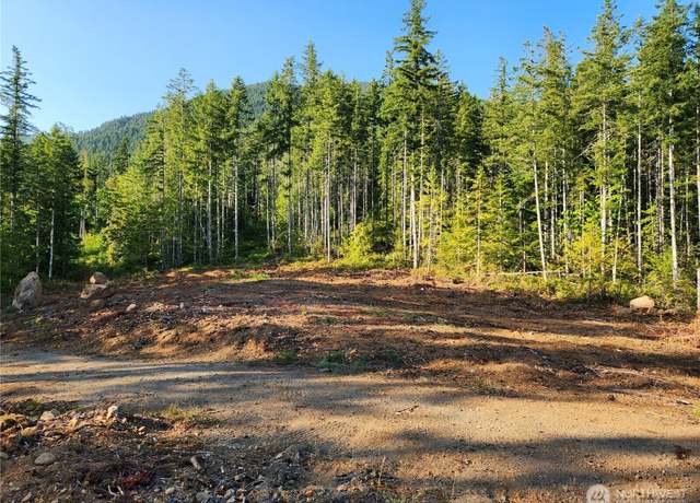 Property at 0 Rocky Brook Rd Lot H, Brinnon, WA 98320