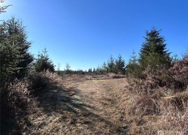 Property at 0 NKA Salmon Creek Rd, Toledo, WA 98591