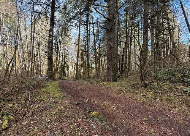 Property at 0 XXXX NE Beitzel Dr, Belfair, WA 98528