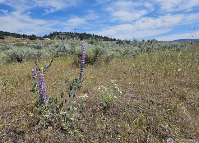 Property at 716 x Havillah Rd, Tonasket, WA 98855