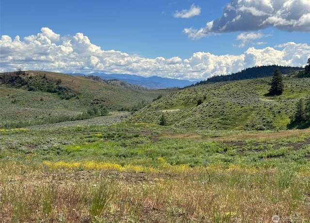 Property at 836 TBD Ellemeham Mountain Rd, Oroville, WA 98844