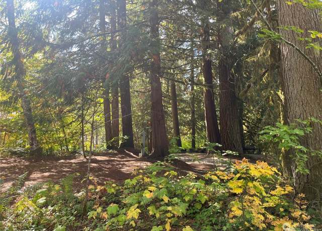 Property at 45297 Kamooks Trl Unit 2D-21, Concrete, WA 98237