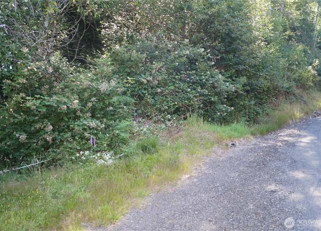 Property at 0 NKA Bigelow Dr, Aberdeen, WA 98520