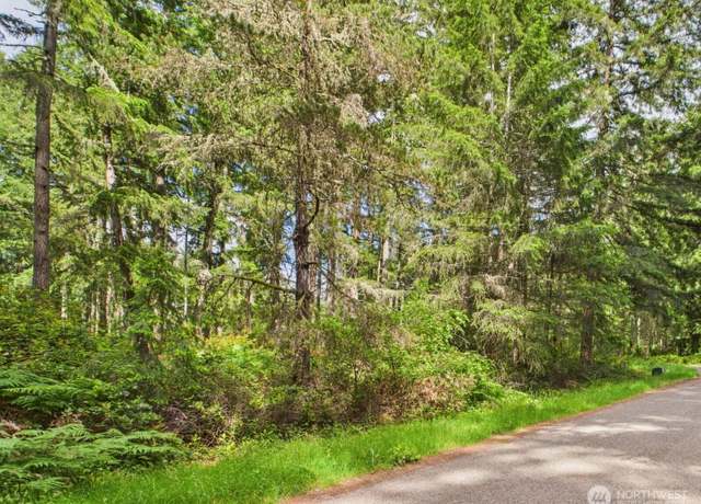 Property at 10412 Edgewood Dr, Anderson Island, WA 98303