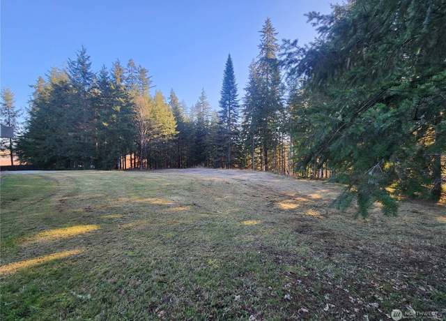 Property at 173 Jims View Rd, Castle Rock, WA 98611