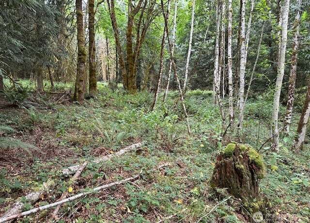 Property at 0 E North Island Dr, Shelton, WA 98584