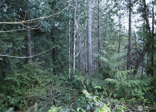 Property at 0 Tax Id #  932100615 & 93210061, Brinnon, WA 98320