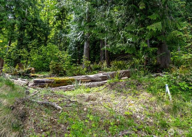 Property at 0 W Alder Rd, Sedro Woolley, WA 98284