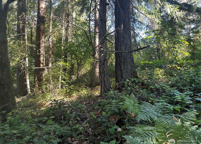 Property at 0 Walnut Ln, Steilacoom, WA 98388