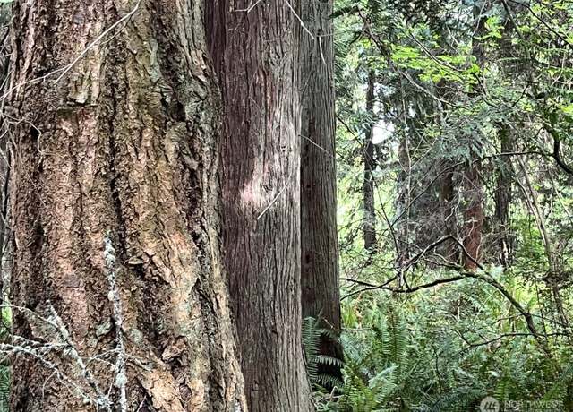 Property at 0 Hoffman Rd, Kingston, WA 98346