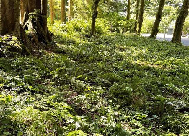 Property at 0 XXXXX S Shore Dr, Mount Vernon, WA 98274