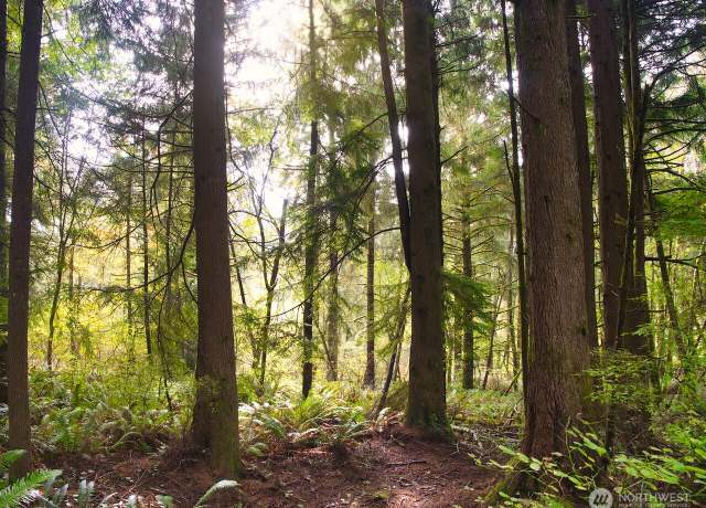 Property at 0 Niemann Ln, Hoquiam, WA 98550