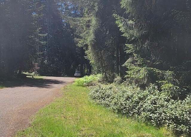 Property at 10308 106th Avenue Ct, Anderson Island, WA 98303