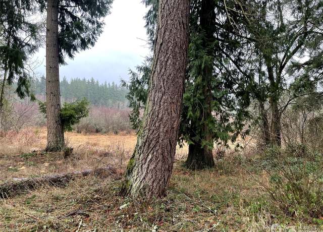Property at 17616 Vine Ln NE, Yelm, WA 98597