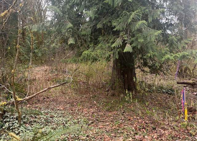 Property at 16006 Shuksan Rim Dr, Glacier, WA 98244