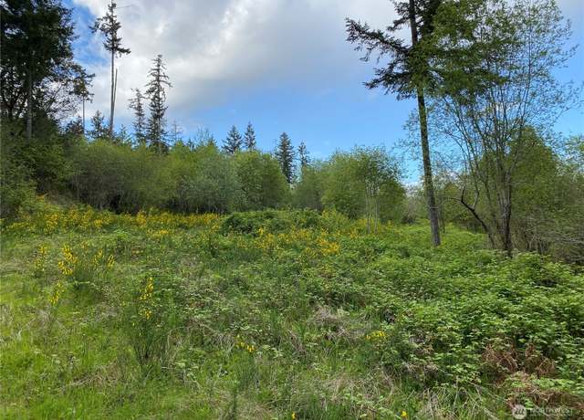 Property at 18703 SR 302, Gig Harbor, WA 98329
