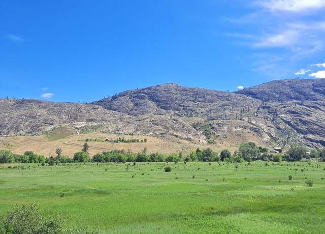 Property at 0 TBD Seahawk Dr, Riverside, WA 98849
