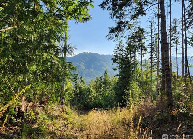 Property at 0 Rocky Brook Road Rd Lot I, Brinnon, WA 98320