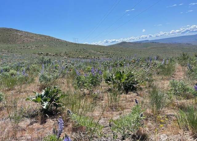 Property at 0 Lot 59 Bill Shaw Rd, Pateros, WA 98834