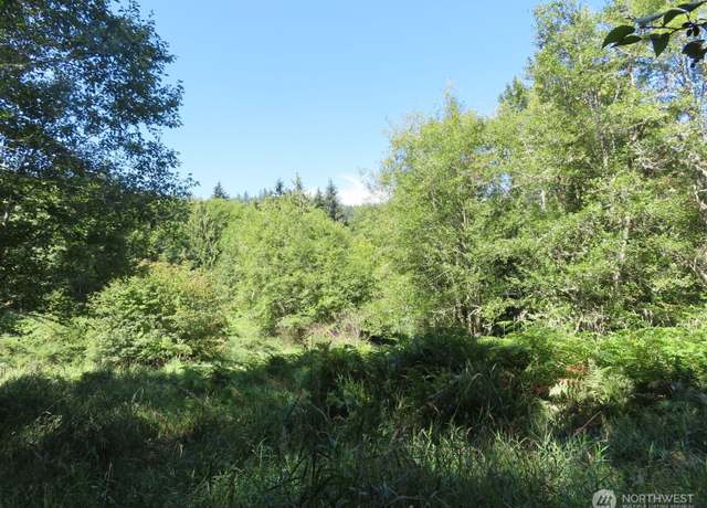 Property at 0 Salmon Creek Rd, Mossyrock, WA 98564