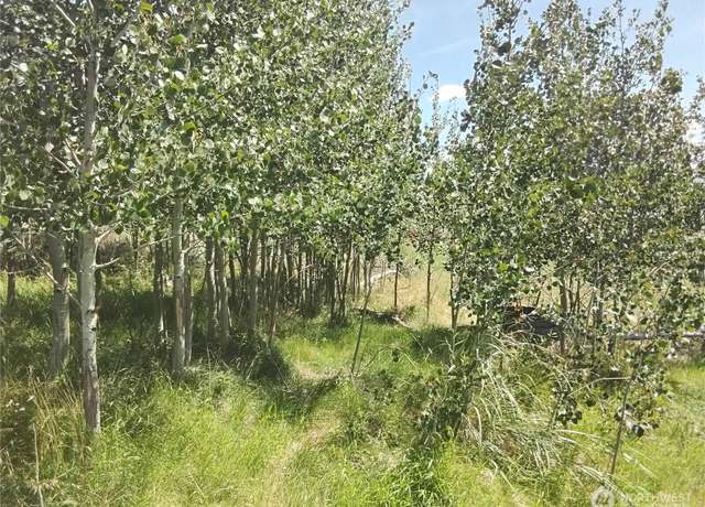 Property at 0 Painted Rock Rd, Tonasket, WA 98855