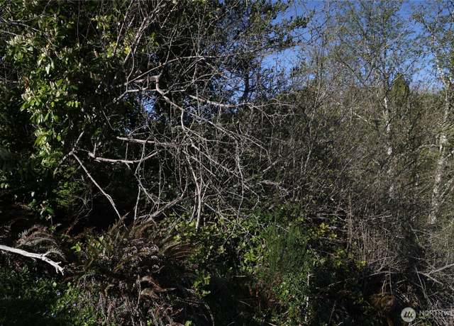 Property at 0 Duffy St, Aberdeen, WA 98520