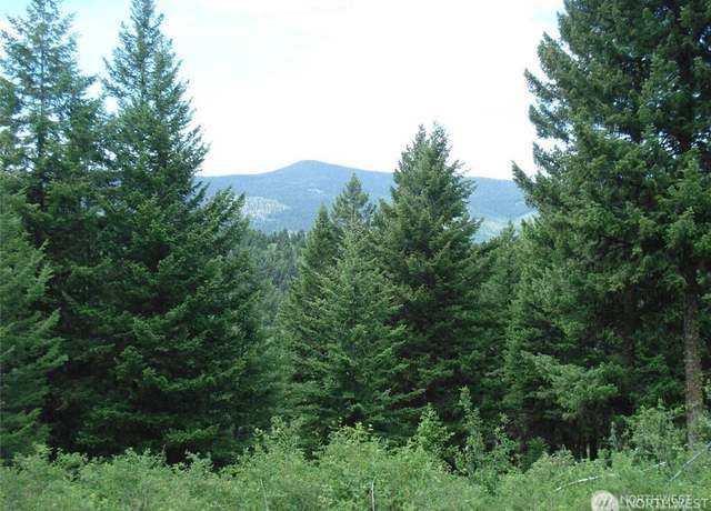 Property at 1 TBD Wellman Rd, Republic, WA 99166