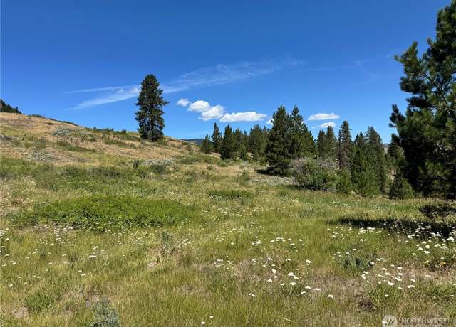 Property at 1 A Lundimo Meadows Rd, Curlew, WA 99118