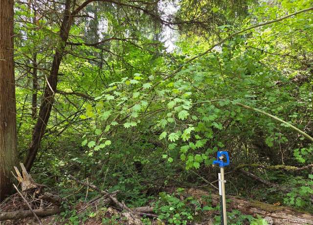 Property at 22041 Clear Lake Blvd SE, Yelm, WA 98597