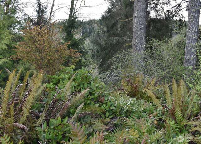Property at 0 Lot 14 E Twin Riv, Port Angeles, WA 98363