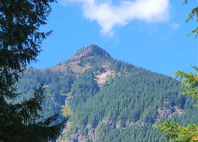 Property at 113 Cottonwood Ln, Packwood, WA 98361