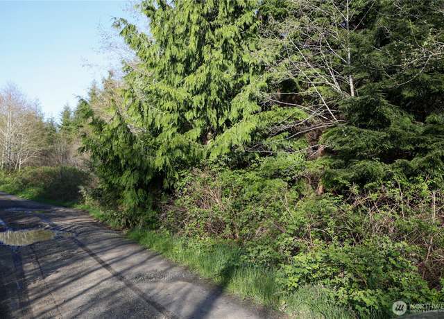 Property at 0 Alpine Ln, Hoquiam, WA 98550