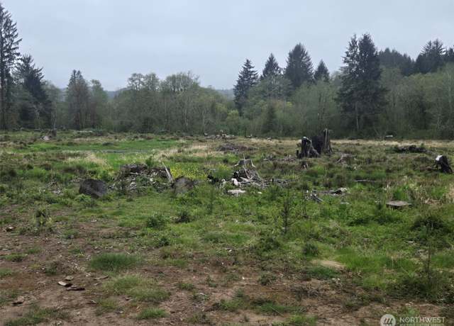 Property at 1139 North River Rd, Cosmopolis, WA 98537