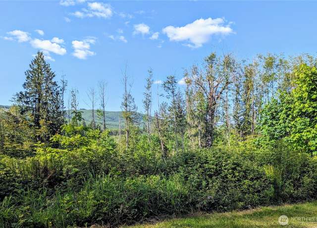 Property at 267 Wildcat Rd, Toutle, WA 98649