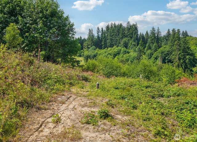 Property at 1830 Hazel Dell Rd Lot 1, Castle Rock, WA 98611