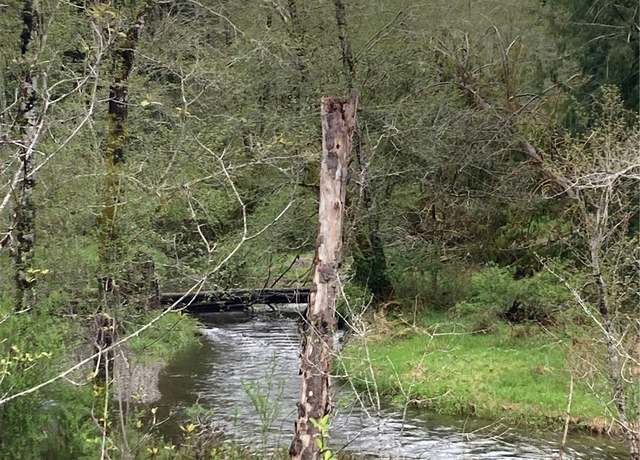 Property at 0 East of Bingham Crk, Elma, WA 98541