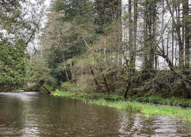 Property at 0 East of Bingham Crk, Elma, WA 98541