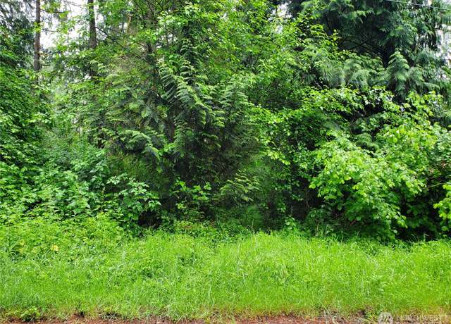Property at 10607 Edgewood Dr Lot 4&5, Anderson Island, WA 98303