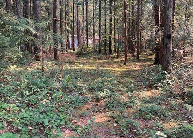 Property at 180 N Union Dr, Hoodsport, WA 98548