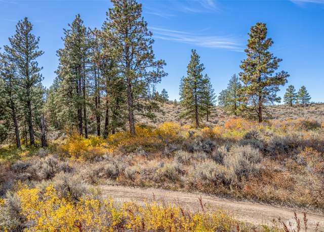 Property at 403 Wild Turkey, East Wenatchee, WA 98802