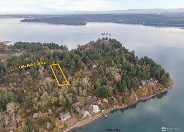 Property at 12406 Cole Point Dr, Anderson Island, WA 98303