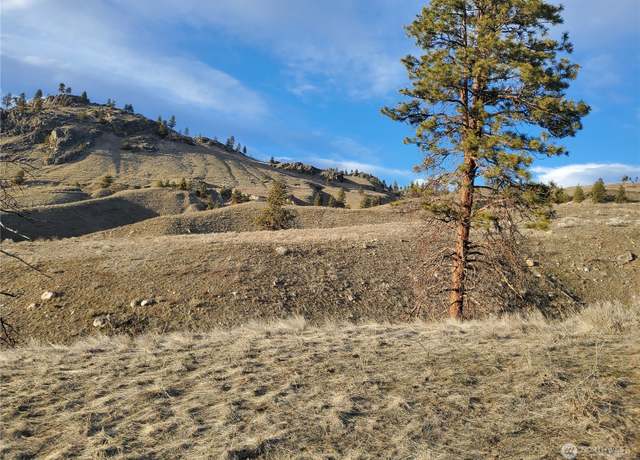 Property at 123 Old Tressle, Oroville, WA 98844