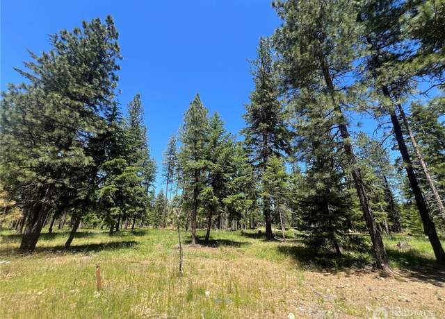 Property at 33 Domerie Park Loop, Cle Elum, WA 98922