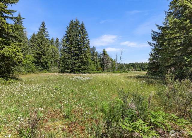 Property at 22030 Peissner Rd SE, Yelm, WA 98597