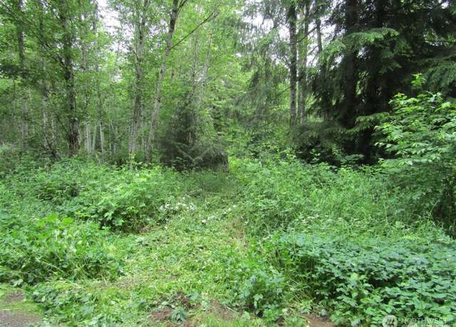 Property at 0 Davis Lake Rd, Morton, WA 98356